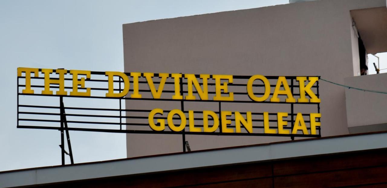 The Divine Oak Golden Leaf Hotel Katra  Kültér fotó